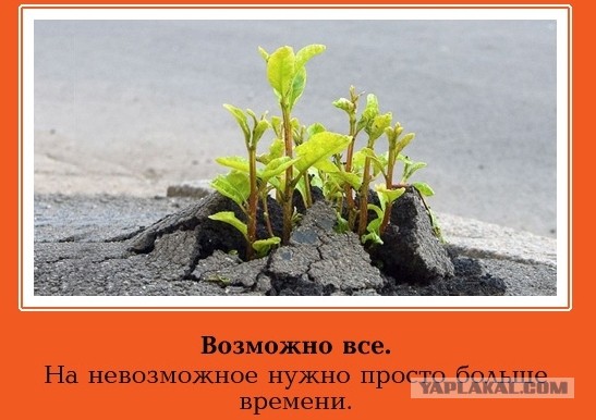 А пожалейте меня...