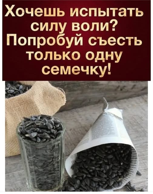 Так себе картинки 31.12.25