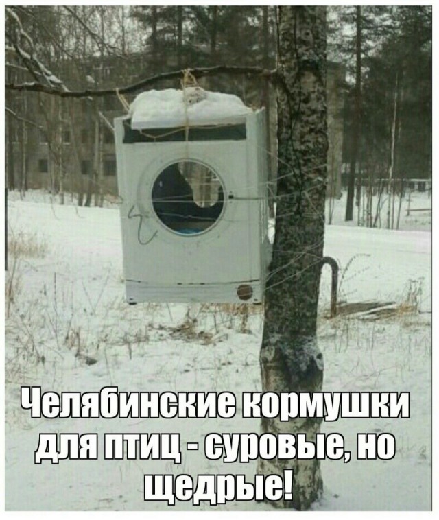 20777462.jpg