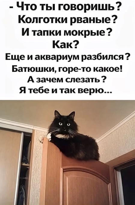 Я в чёрном