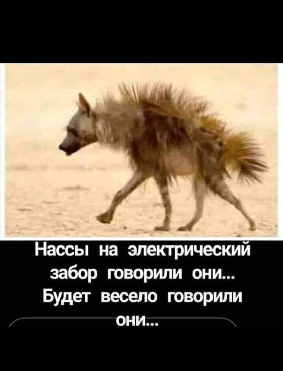Картинки для деградации 165 (разной степени свежести)