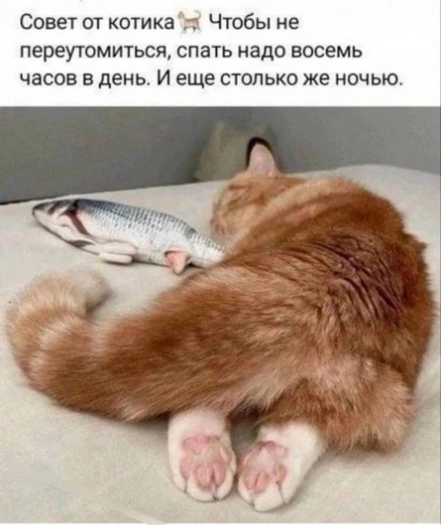 Среды картинки