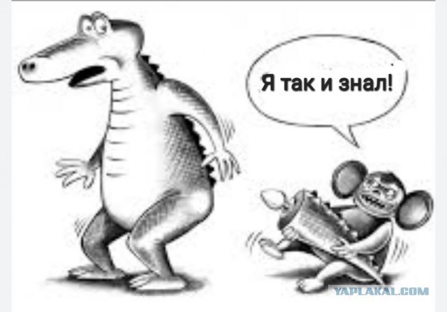 Чиновник выиграл машину в лотерее, которую сам и организовал
