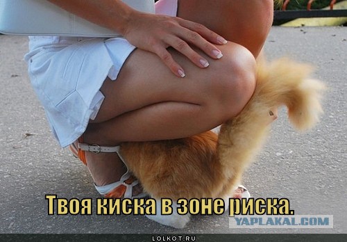 Я всегда так делаю!
