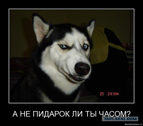 "Толерантным" журналистам посвящается