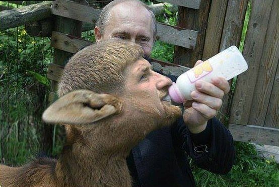 Бизнес по-Кадыровски