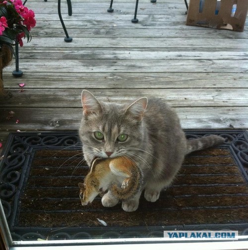 А когда отпустит?