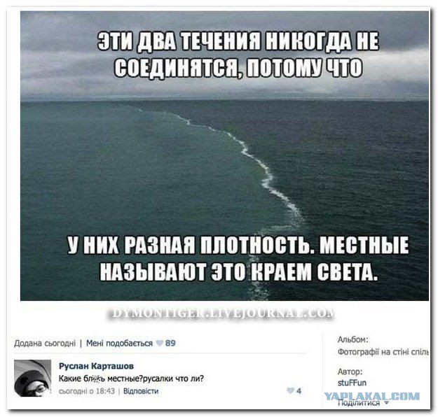 Смешные комментарии из социальных сетей (апрель)