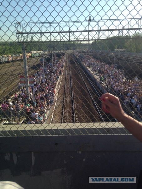 В Подмосковье столкнулись два поезда