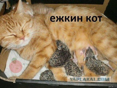 Поднимаем настроение