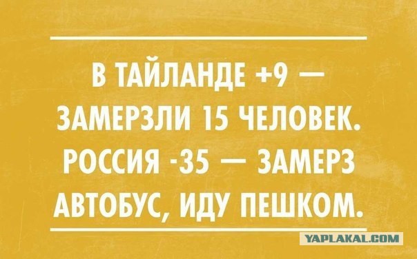 Немного позитива на пятницу