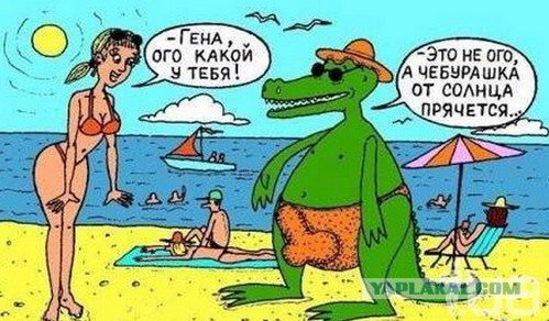 Крокодил игрушка детям не игрушка ...