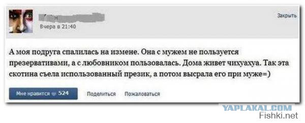 Смешные комментарии из социальных сетей