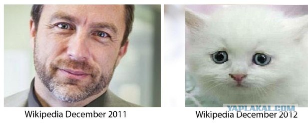 В 2012 Wikipedia наберет больше денег