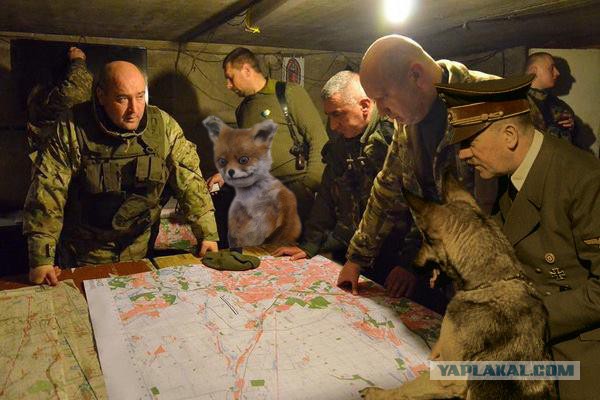 Обстрел в Мариуполе. 24.01.2015
