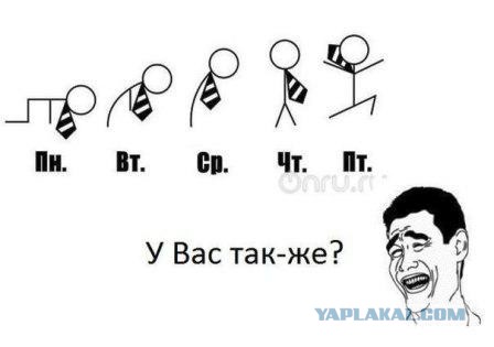 18 пятничных картинок!