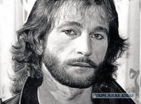 Звезды больше нет……