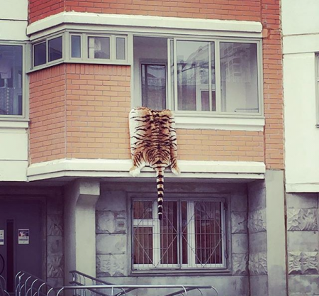 Картинки смешные и несмешные