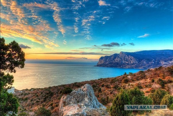 Вот и сегодня Ёжик сказал Медвежонку
