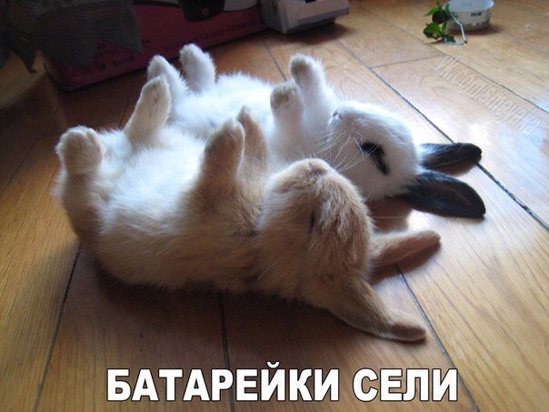 Картинки из ваших этих итернетов...