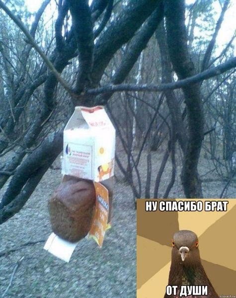 Мохнатые беспредельщики