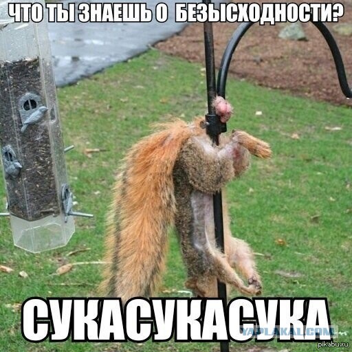 Тонкостей русского языка псто