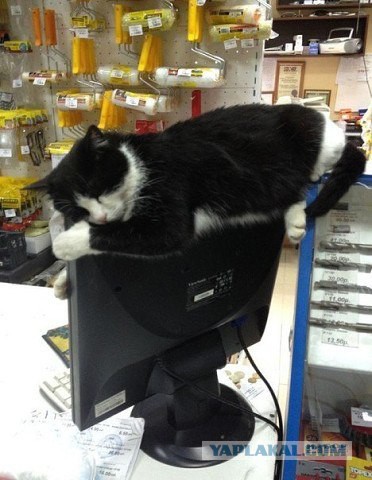 Подборка интересных и веселых картинок