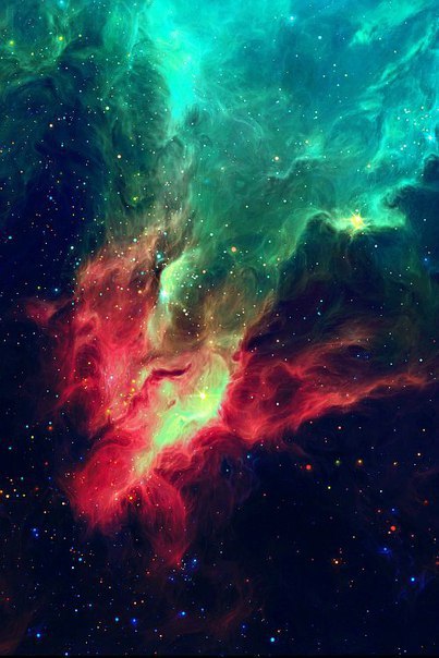 Интересные и веселые картинки