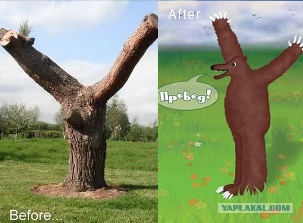 Интересные и веселые картинки