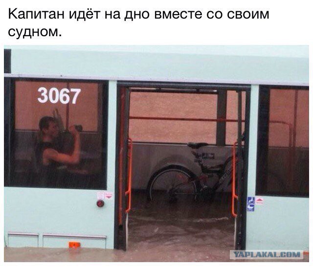 Весёлые картинки