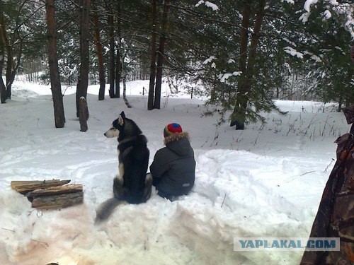 Эмоциональные фотографии