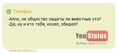 В Химках на автомобили падают арбузы