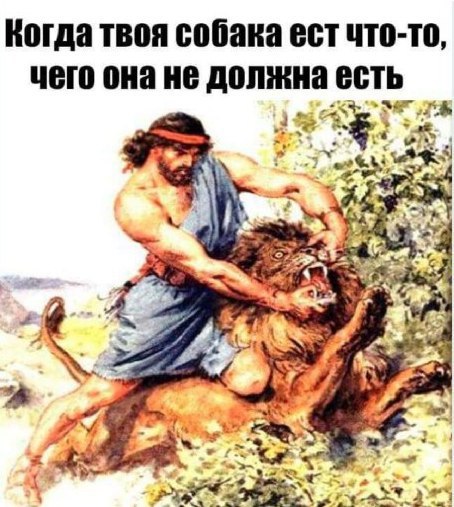 Юмор не для всех