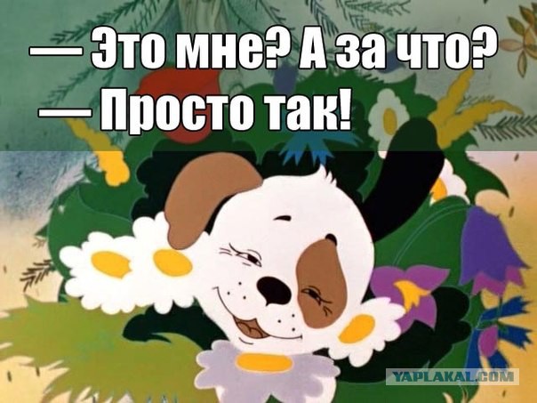 Девушки в поисках спонсора