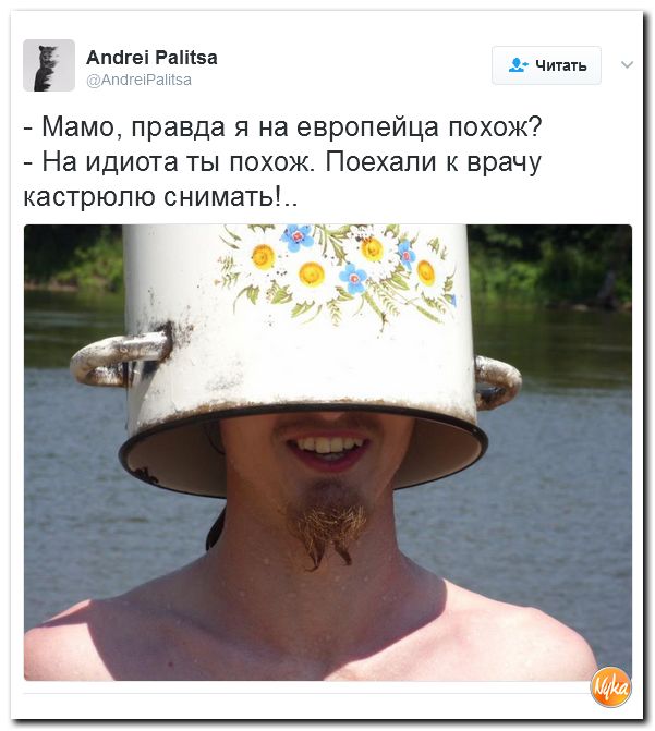 Юмористическо-саркастическая подборка материалов об обстановке в Мире