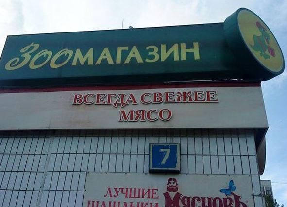 Подборка безудержного веселья