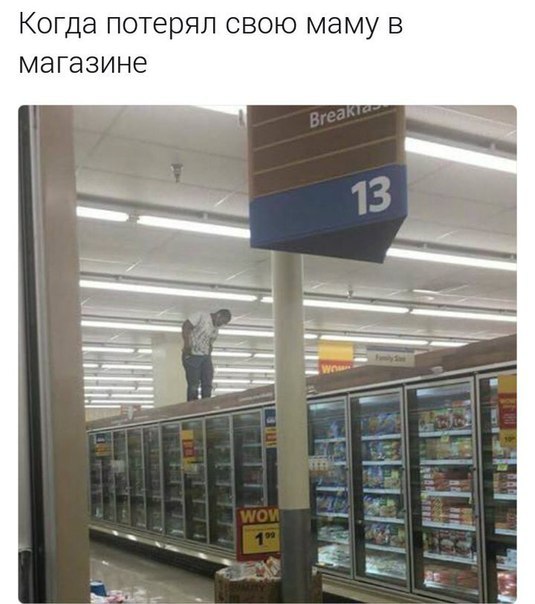 Подборка безудержного веселья