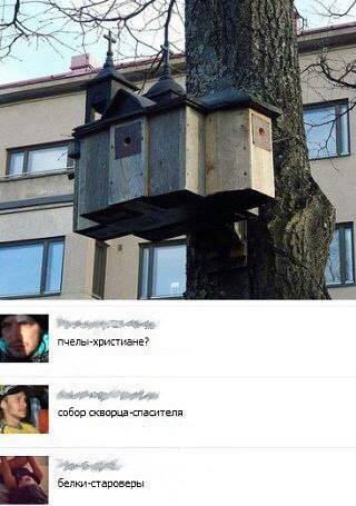 Картинок всяких