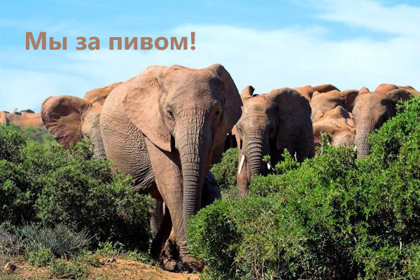 С ПЯТНИЦЕЙ!