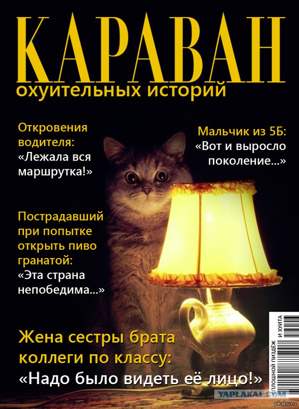 Че жалко что-ли? И неудачная попытка шантажа