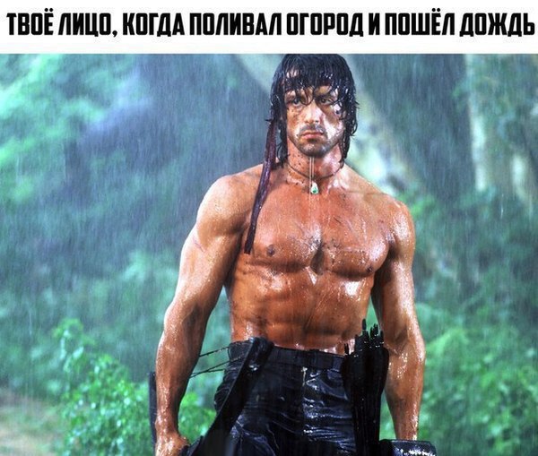 Подборка картинок с юмором "на любителя"