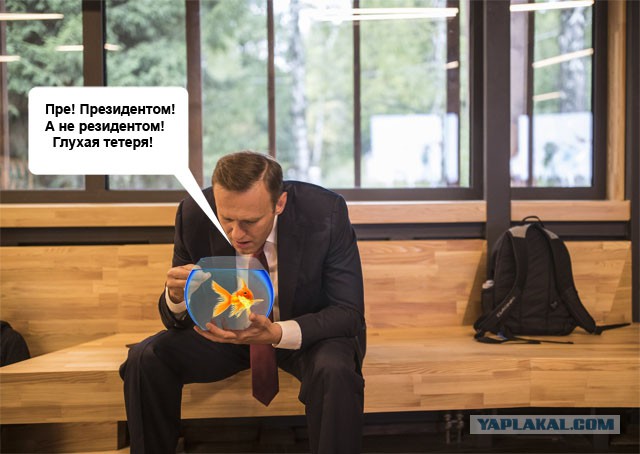 Фотошоп: А. Навальный и доширак