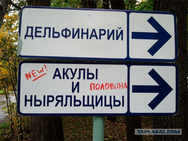Веселые картинки и прочие отфотошопленные постеры