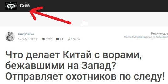 Они вернулись на родину. Операция «Небесная сеть 2017»