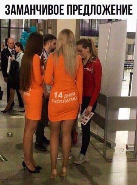Прикольные картинки обо всем