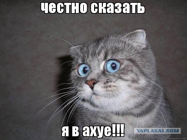 Итоги проверки пользователей