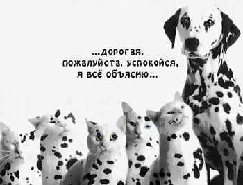 Котовторник на ЯПлакалъ (13.05.08)