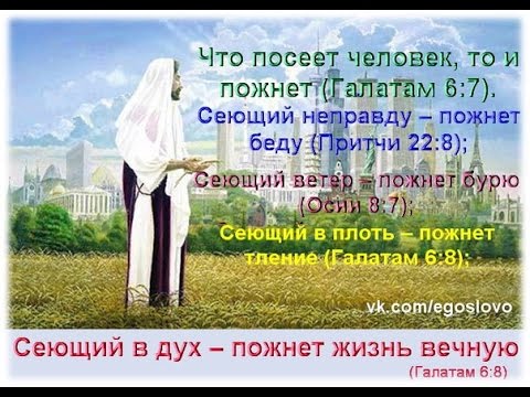 Есть ли жизнь после смерти?