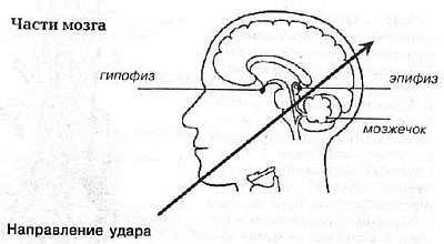 Стильно ушатал