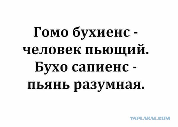 Картинки юморные и тексты 10.10